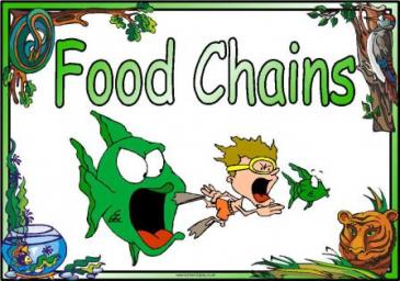 A Lesson on Breaking the Food Chain