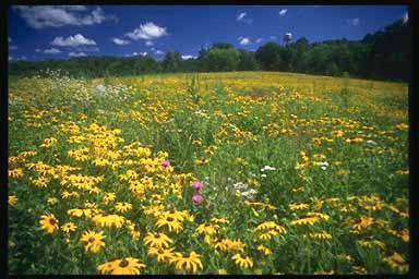 A Lesson on Seasons on the Prairie