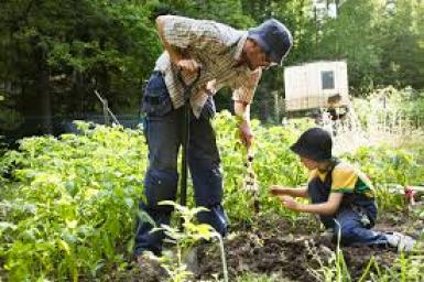 A Lesson on A Garden in Lawndale