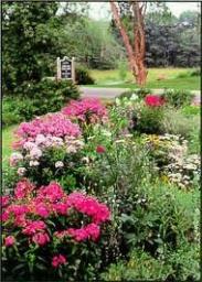 A Lesson on A Garden in Lawndale