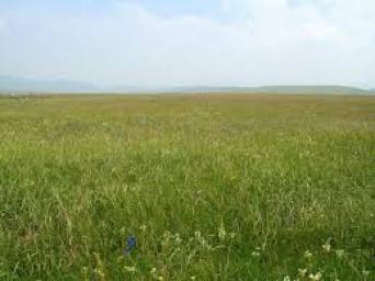 A Lesson on Seasons on the Prairie