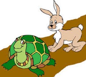 A Lesson on The Turtle and the Rabbit