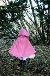 A Lesson on Little Pink Riding Hood