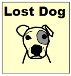 A Lesson on The Lost Dog