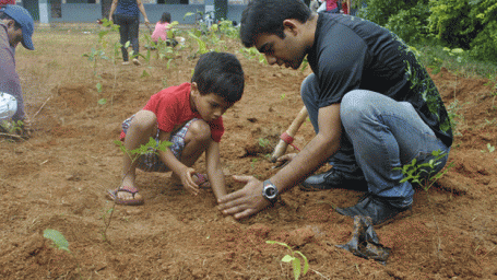 A Lesson on More Trees