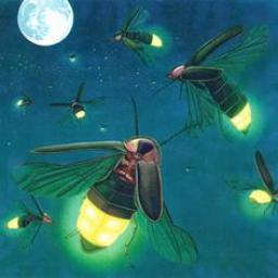 A Lesson on How the Firefly Got Its Light