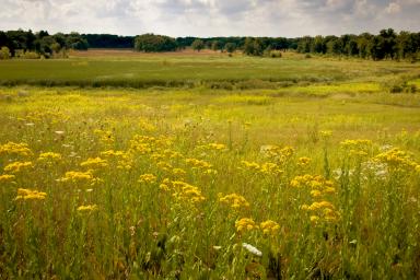 A Lesson on Seasons on the Prairie