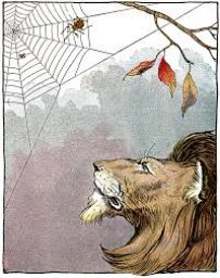 A Lesson on The Lion and the Spider