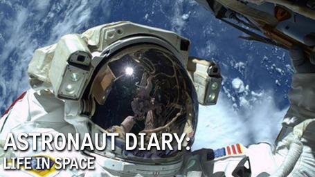 A Lesson on The Astronaut's Diary