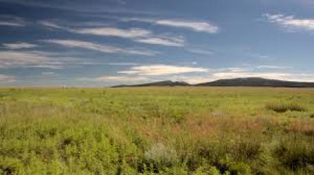 A Lesson on Prairie Changes