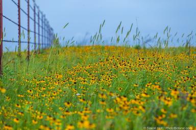 A Lesson on Seasons on the Prairie