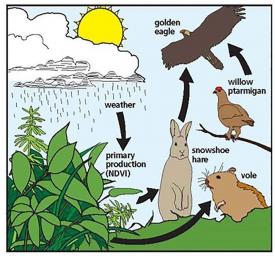 A Lesson on Changing the Ecosystem