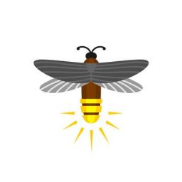 A Lesson on How the Firefly Got Its Light