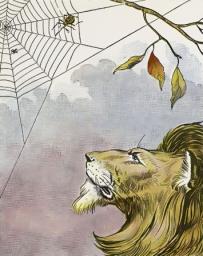 A Lesson on The Lion and the Spider