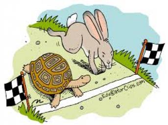 A Lesson on The Turtle and the Rabbit