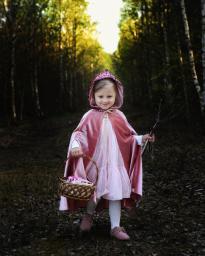 A Lesson on Little Pink Riding Hood