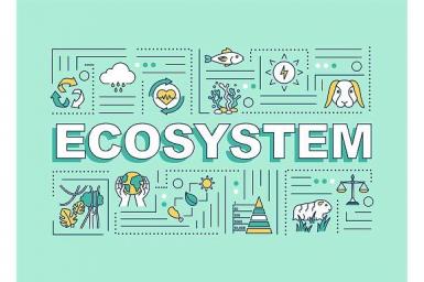 A Lesson on Changing the Ecosystem
