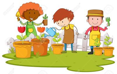 A Lesson on I Like Plants